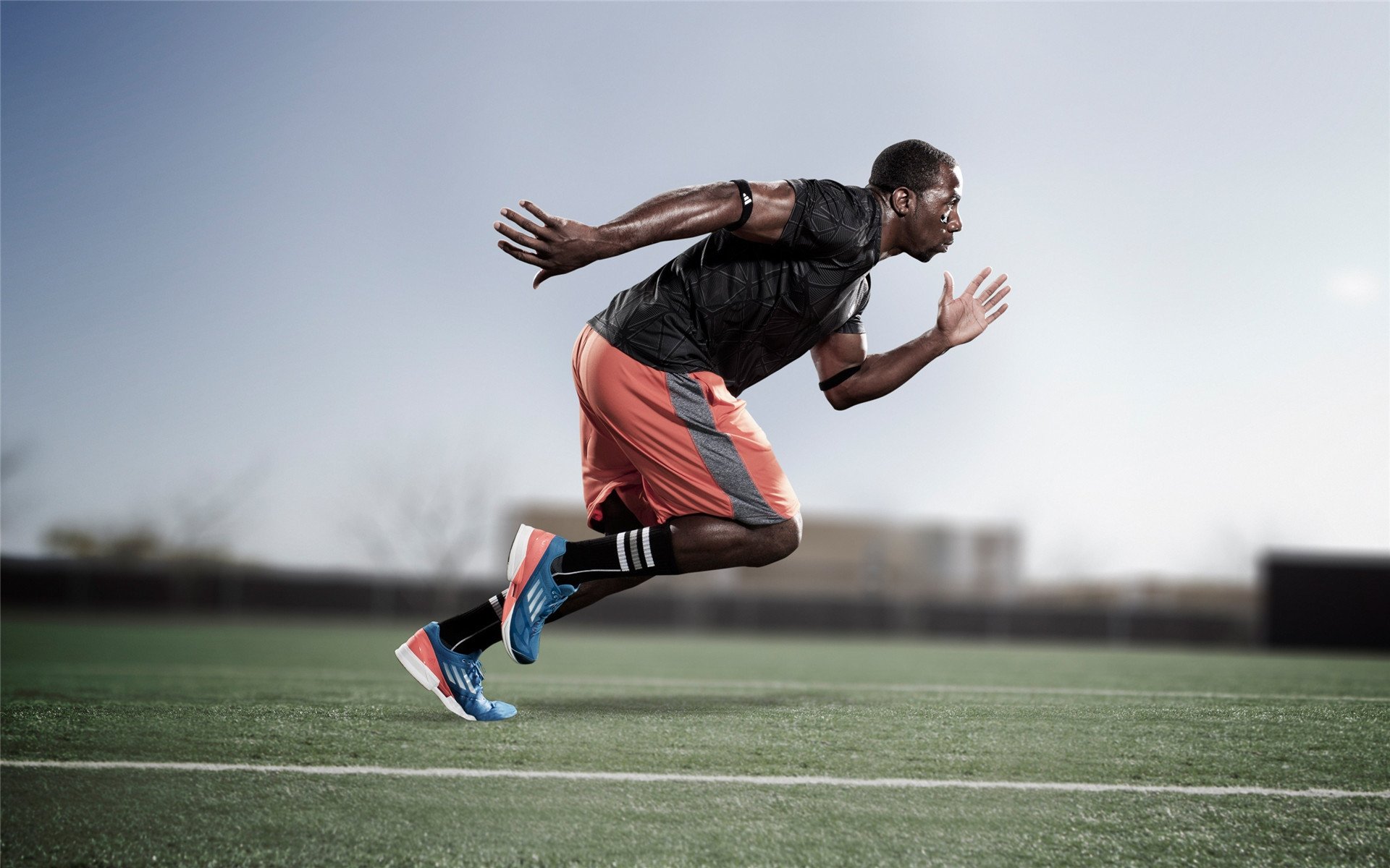 东京奥运向中国体育发出战帖，金牌不断刷新纪录！，东京奥运会体育比赛